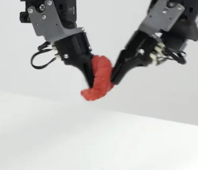 Two black robotic grippers delicately hold a small, bright red curved object against a plain white background, suggesting precision automation.